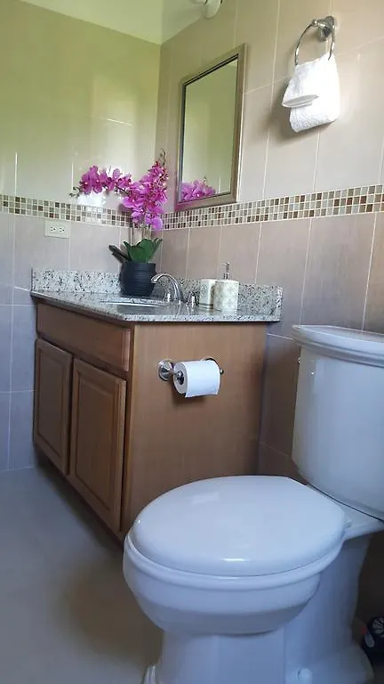 Apt 12, Executive Suites Ja - Palms Enfield 0*,