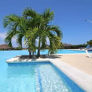 Shade @ - Ocho Rios , Richmond Jamaica